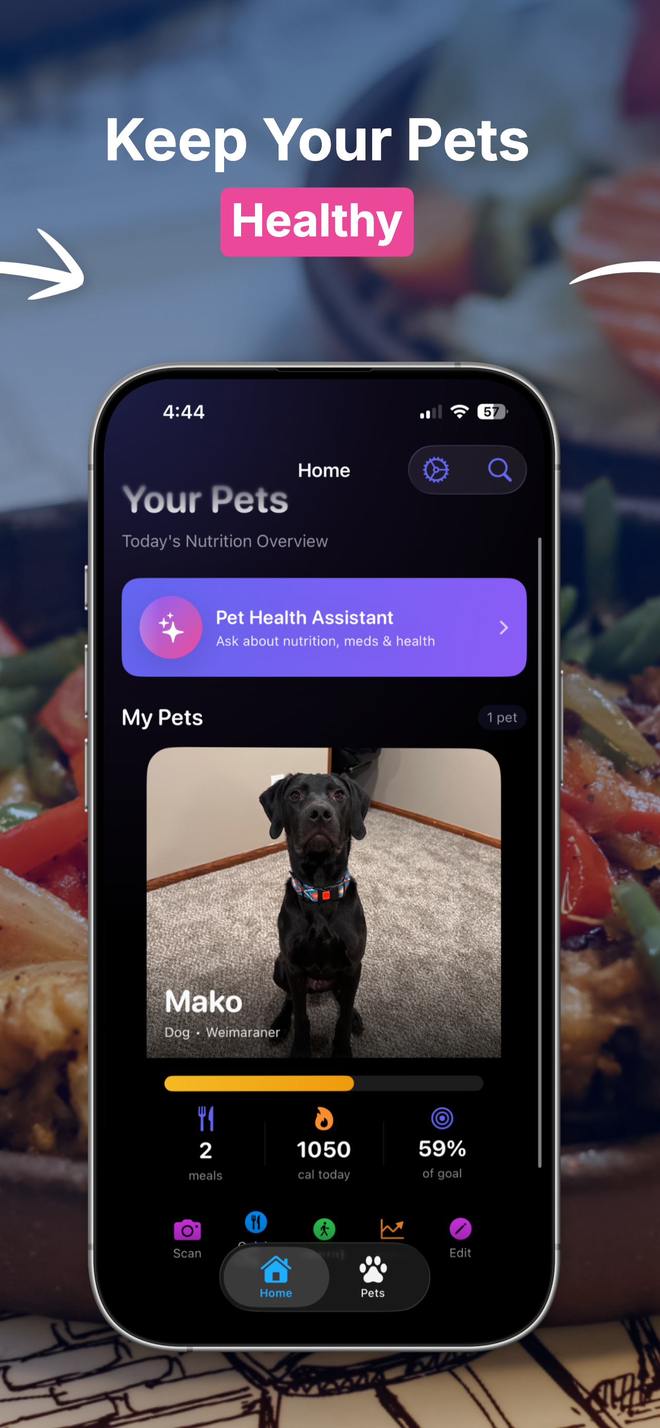 AI meal analysis scanning a bowl of pet food