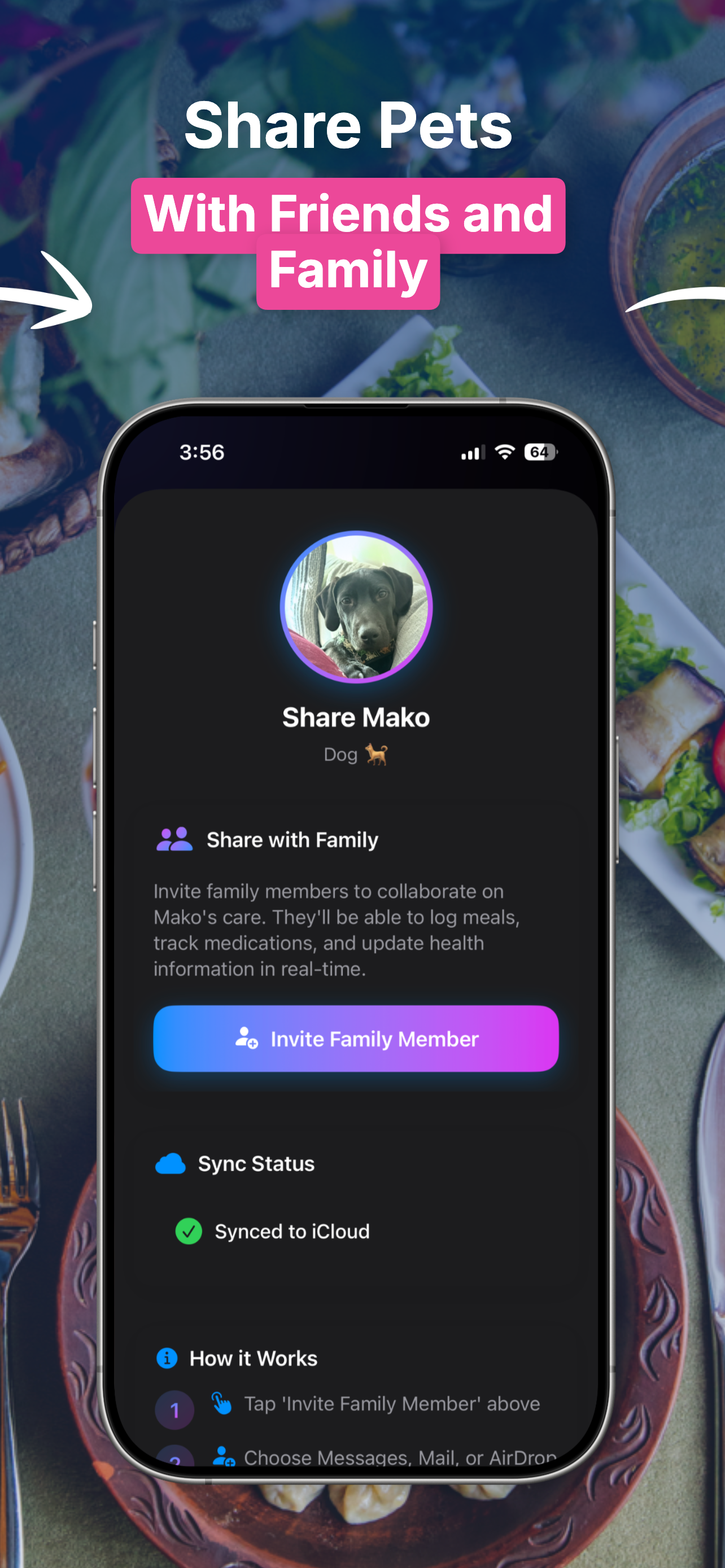 Pet weight trend graph over time
